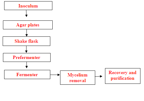 The production chart for chlortetracycline